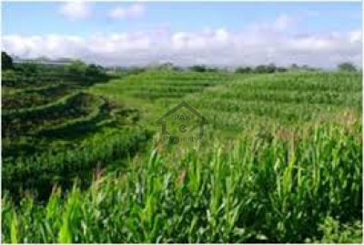 552 Kanal-Agricultural Land For Sale At Bahawalnagar