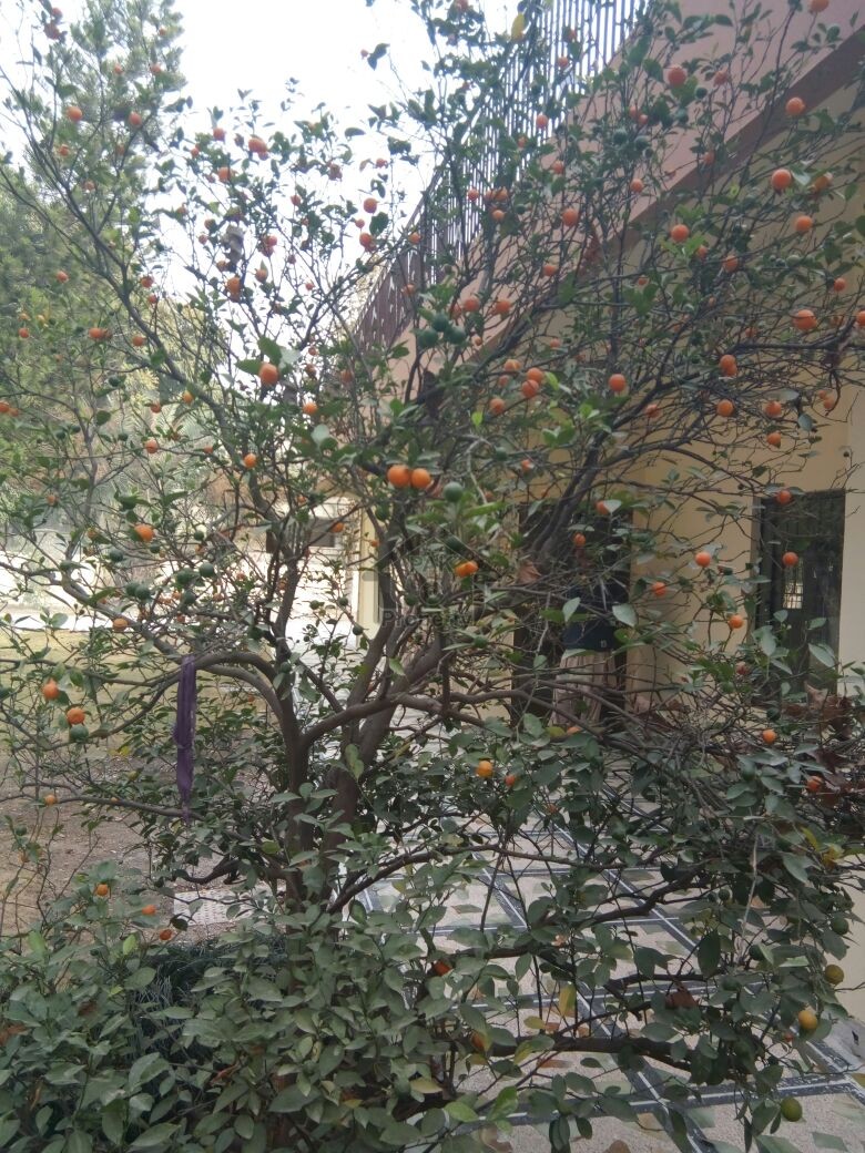 Beautiful Renovated House Available For Rent In Sector F-7 College Road