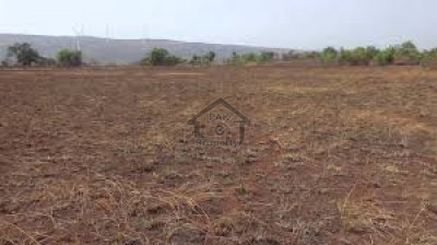 Burhan-10000 Kanal-Open Land For Sale In wah