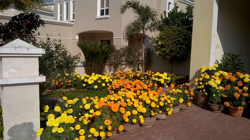 House for Rent in Beautiful Canyon Views, Islamabad.