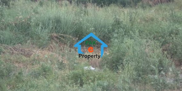 Plot Available For Sale In Cda Sector C-16 - On Beautiful Location