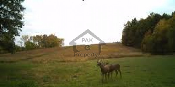 Plot For Sale In Soan Garden