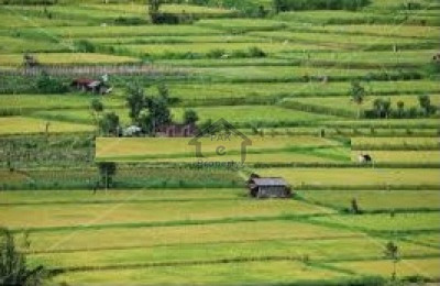 G-16/3 - 12.4 Marla - Plot  For Sale