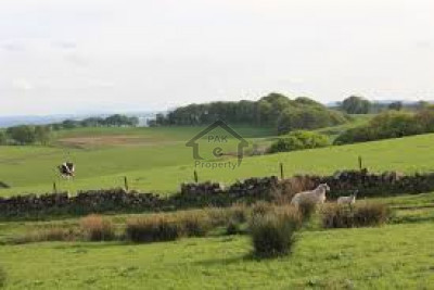 DHA Phase 9 Prism - Block M, 1 Kanal -Plot For Sale.