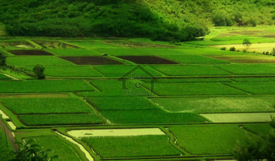 Punjab University Society Phase 2, - 7 Marla - Plot for sale ..