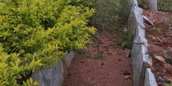 1 Kanal Plot For Sale In Phase 7 Block W