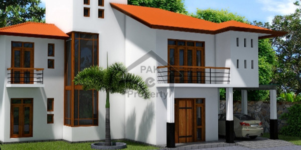 Basement Is Available For Rent