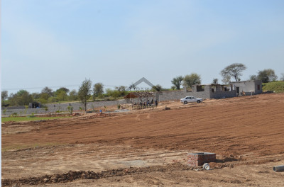 4 Kanal Farm House Plot For Sale On Jawa Road Rawat 3km From GT Road