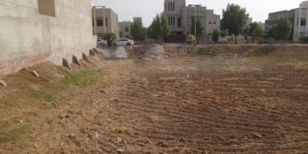 D-12/2,- 1 Kanal -Plot Is Available For Sale