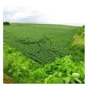 GT Road, - 839 Kanal - Land For Sale in Jhelum.