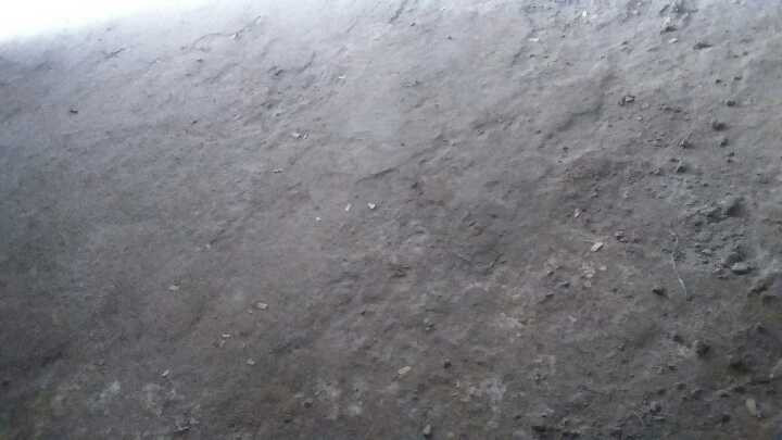 residential 8 kanal plot