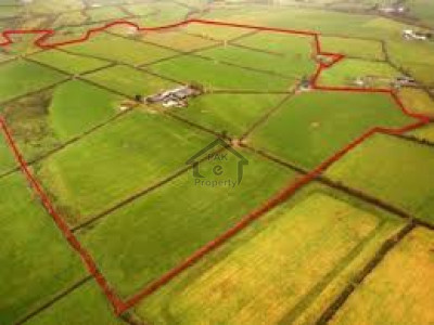 Sue-e-Asal, - 13 Kanal - Agricultural Land For Sale