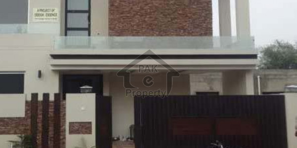 Double Storey House Is Available For Rent