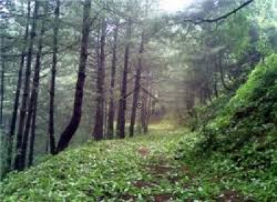 Mirpur Maira, - 5 Marla - Plot For Sale in Abbottabad.