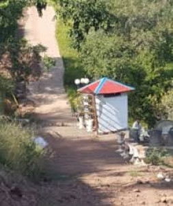 Ayub Medical Complex, - 10 Marla - Plot for sale.