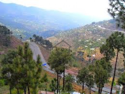 Batakundi, - 1 Kanal - Plot Available For Sale In Naran .