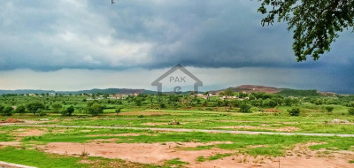 2 Years Payment Plan