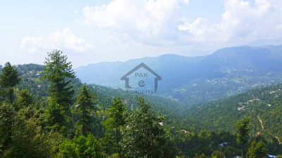 23 Kanals of prime land for sale in Patriata (New Murree) located off Main Patriata Road.