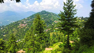 23 Kanals of prime land for sale in Patriata (New Murree) located off Main Patriata Road.