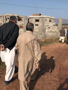 1 qanal grey structure