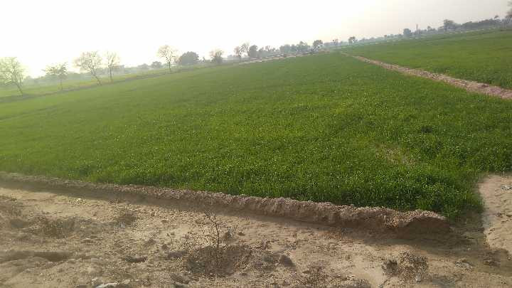 Believe it then Achieve it