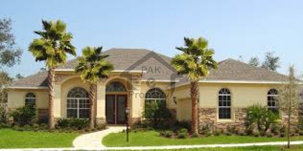 Brand New Lower Portion For Rent