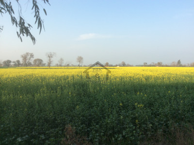 Prime Location G T road plot for Sale