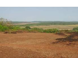 7 Marla Commercial Corner Plot Is Available For Sale At Abdullahpur Faisalabad