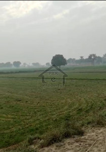 Agricultural land for sale