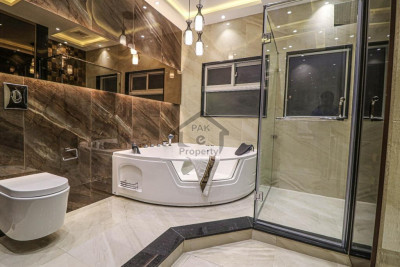 Luxurious House for Sale