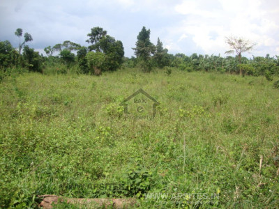 PLOT FOR SALE
