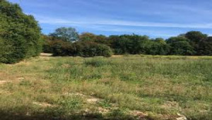 Residential Plot For Sale In E-12/2