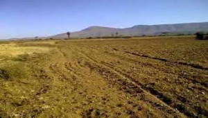 Plot For Sale In G-14/4