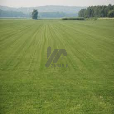 Plot For Sale In G-14/4