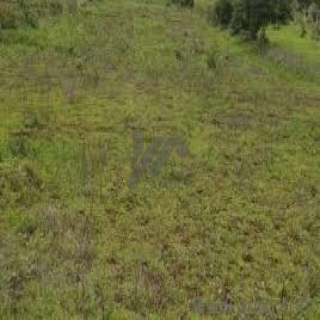 Residential Plot For Sale In I-11/1