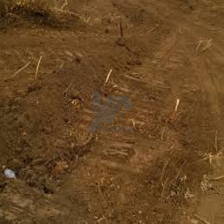 Corner Park Face Plot For Sale In C-15