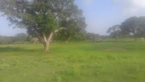 Plot Available For Sale In G-13/2 Islamabad