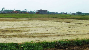 Plot For Sale In Top City Block-B