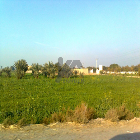 Ideal 20 Acre Available For Sale For Cattle & Poultry Farming Near Dijkot To Satiana Road