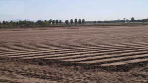 PLOT FOR SALE IN E-12/1