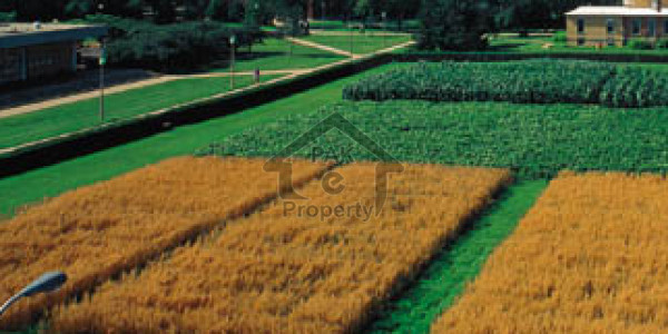 Residential Plot Is Available For Sale