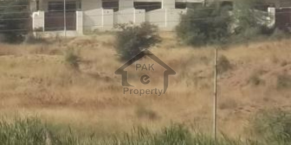 Commercial Plot Is Available For Sale