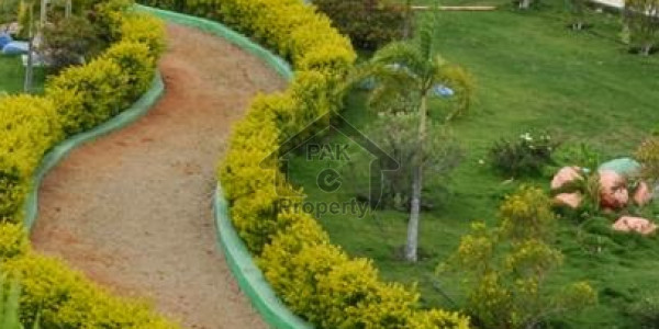 1 Kanal Dc Colony Discounted Price Plot For Sale