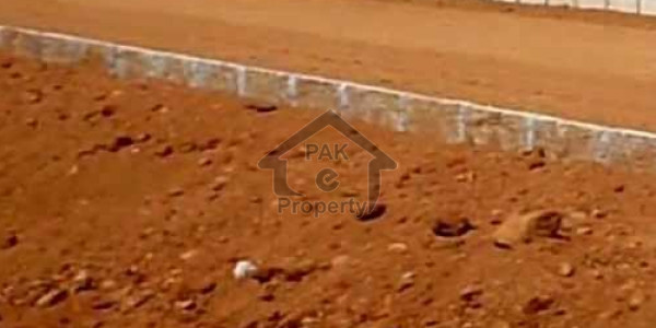 Plot Is Available For Sale