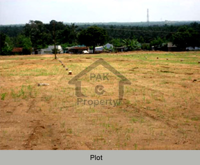 Plot Is Available For Sale