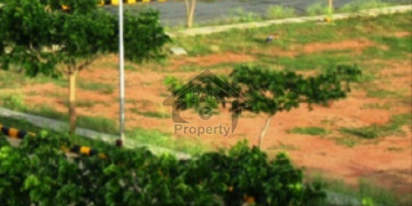 Plot File Is Available For Sale