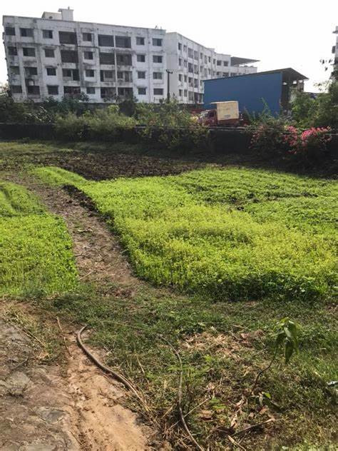 Plot For Sale In DHA Phase 9 Prism