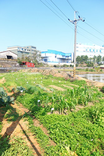 Plot For Sale In G-14/3