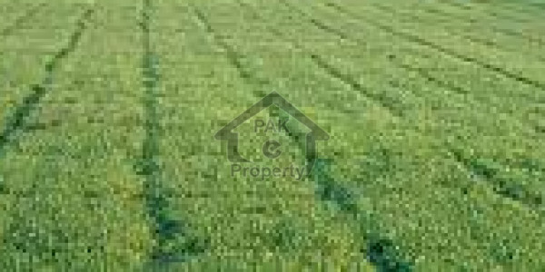 Agriculture Land For Sale