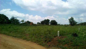 Plot For Sale In MPCHS - Block F